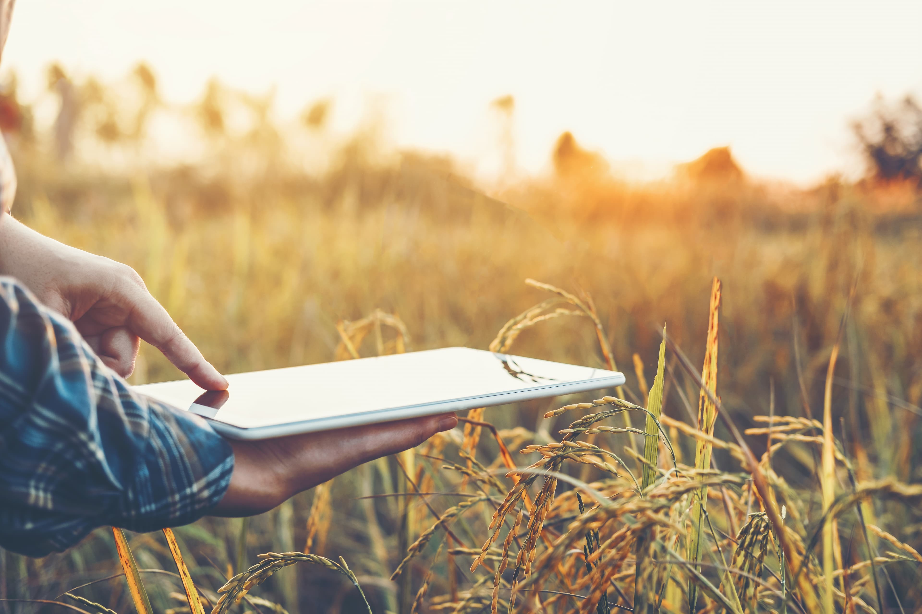 AgriTech solutions