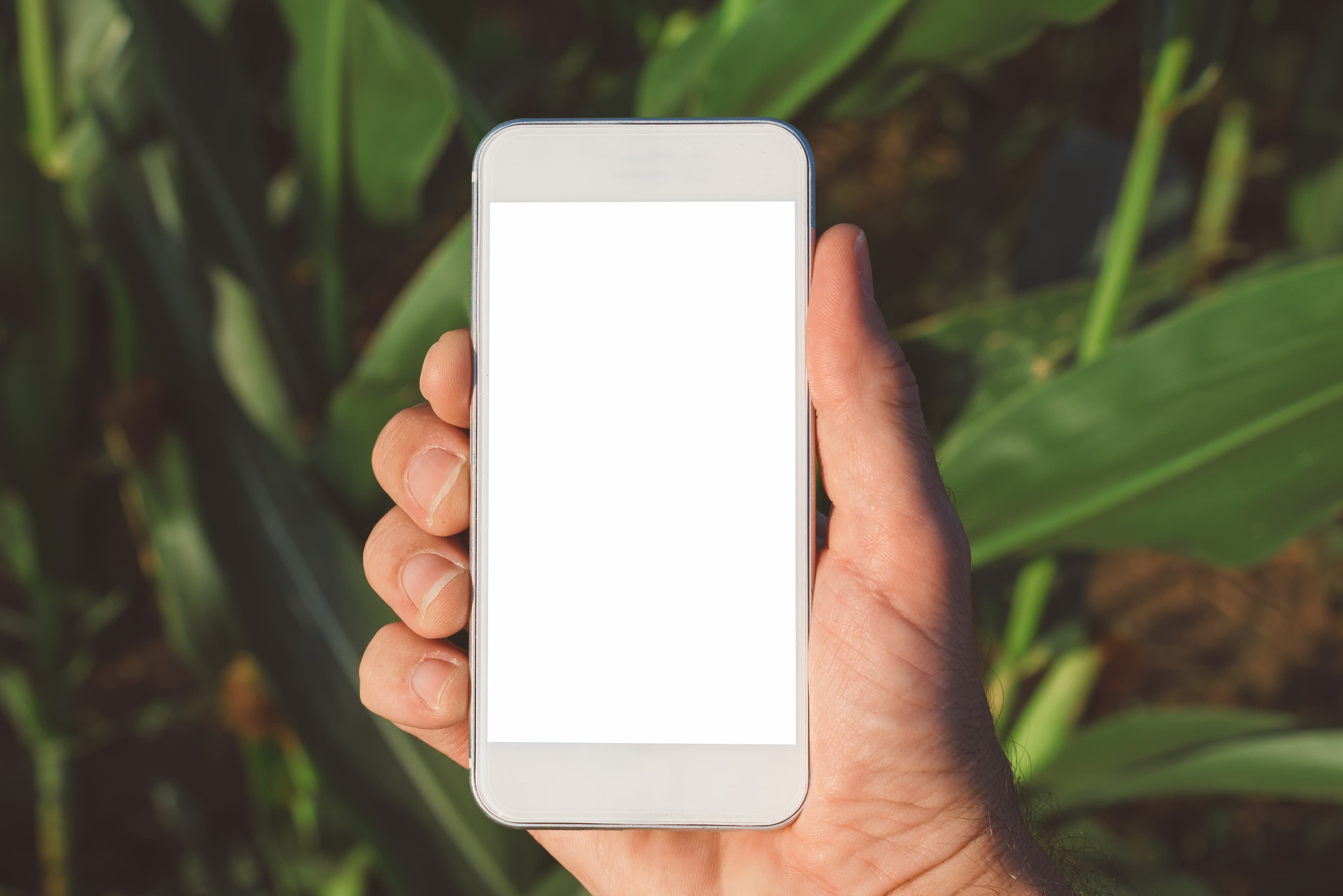 Crop Health Vision Platform for an AgriTech Startup